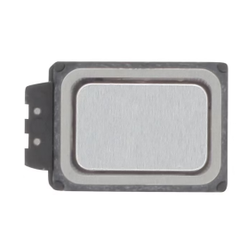 Ecouteur Interne Galaxy A55 5G (A556B)